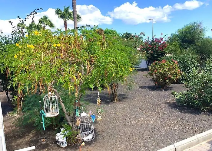 Dream, Front Line 2 Bedroom * تياس